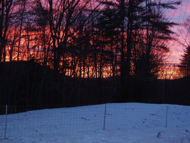 Winter Dawn at our farm in New Hampshire.